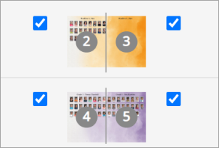 A link icon next to a page means there is a flowed portrait group on ...